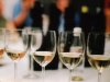 120 vinara na eno-gastro događaju godine