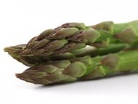 Berba šparoga u vinkovačkom kraju - ova godina bolja od prošle