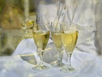 Počela potraga za sezonskim radnicima, nedostaje ih oko 65 tisuća