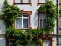 Direktor Croatia Sotheby’sa: Dalmatinski gradovi magnet su za elitne klijente