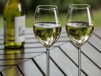 Najbolje autohtono bijelo vino kontinentalne hrvatske je Škrlet vinarije Voštinić-Klasnić